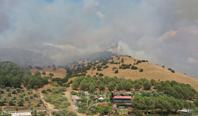Aydın'da ziraat alanı ve makilikteki yangına müdahale ediliyor