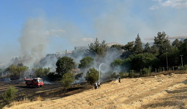 Bilecik'te buğday tarlasında çıkan yangın söndürüldü