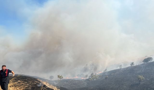 Çanakkale'de çıkan yangında 150 dönüm makilik alan yandı