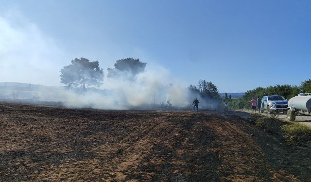 Çanakkale'de tarım arazisinde çıkan yangın söndürüldü