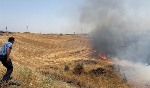 Gaziantep'te 300 dönümlük alanda çıkan anız yangını söndürüldü