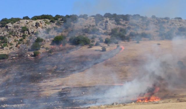 Gaziantep'te otluk ve makilik alanda çıkan yangın söndürüldü