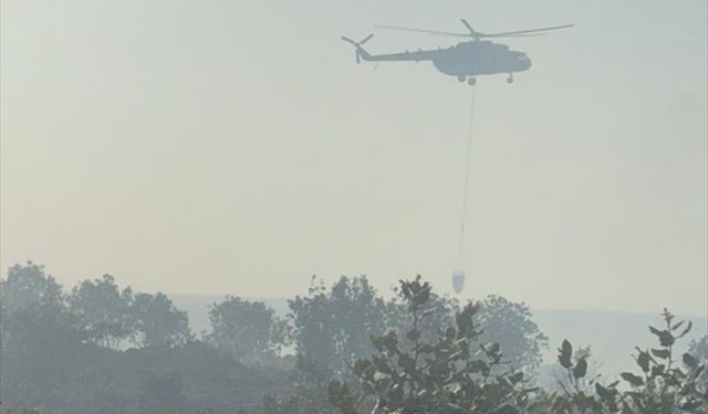 Mardin'de ormanlık alanda çıkan yangın kontrol altına alındı