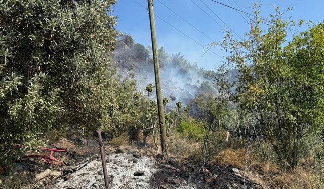 Hatay'da ormanlık ve çamlık alanda çıkan yangınlar söndürüldü