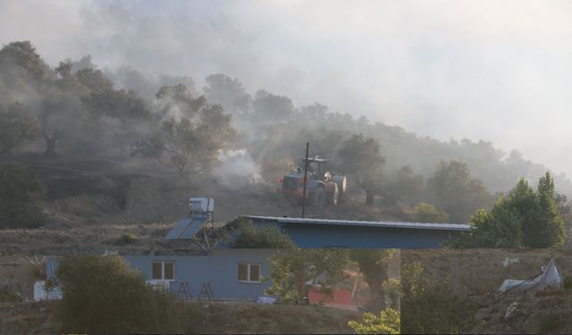 Hatay'da zeytinlik alanda çıkan yangın kontrol altına alındı