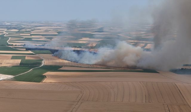 Kırklareli'nde 500 dekarlık buğday ve arpa ekili alan yandı