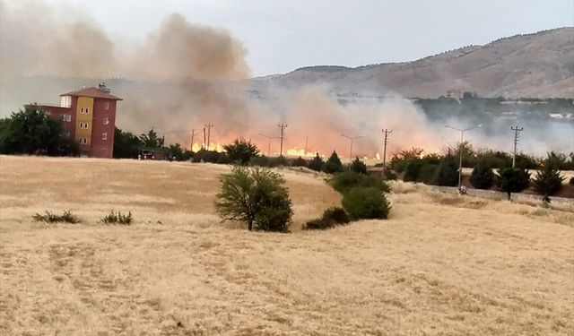Malatya'da otluk alanda çıkan yangın söndürüldü