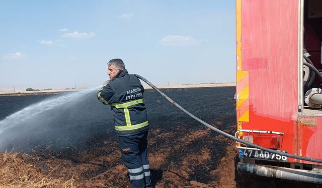 Mardin'de yaklaşık 400 dekar buğday ekili alan yandı