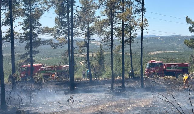 Mersin'de çıkan orman yangını kontrol altına alındı