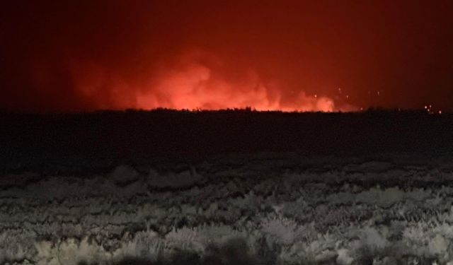 Mersin'deki Göksu Deltası'nda yangın