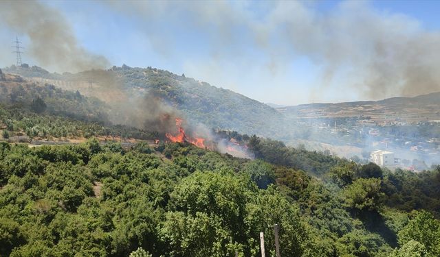 Osmaniye Düziçi'nde çıkan orman yangını kontrol altına alındı