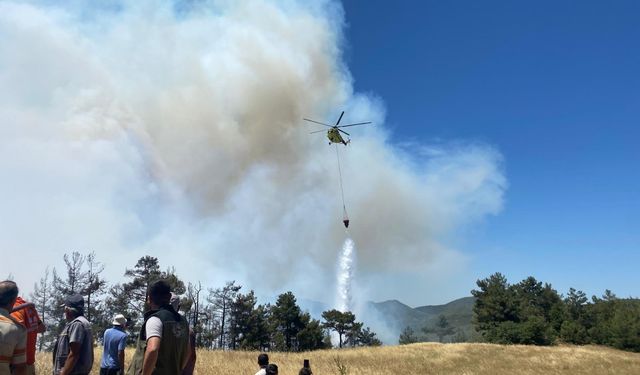 Sakarya'da ormanlık alanda çıkan yangına müdahale ediliyor