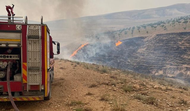 Şanlıurfa'da çıkan örtü yangını kontrol altına alındı