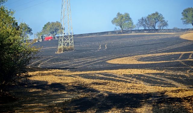 Tekirdağ'da 200 dekar buğday ekili alan yandı