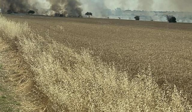 Tekirdağ'da 300 dekar buğday ekili alan yandı