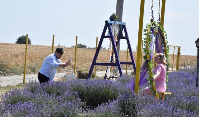 Tekirdağ’da lavanta bahçeleri fotoğraf tutkunlarını ağırlıyor