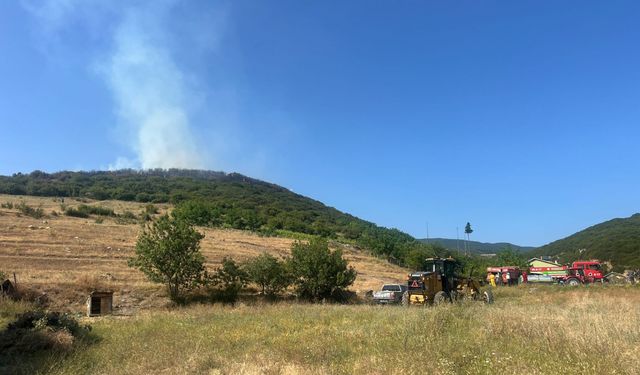 Tokat'ta ormanlık alanda çıkan yangına müdahale ediliyor