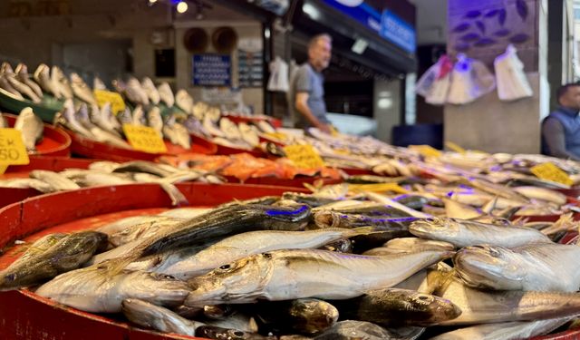 Trabzon'da balıkçı tezgahlarında bolluk yaşanıyor