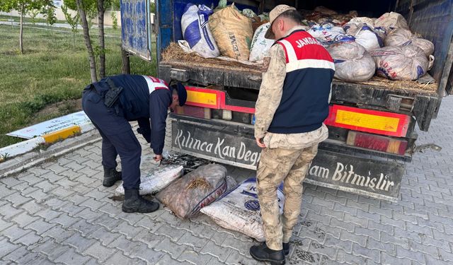 Van'da kaçak avlanmış 19 ton 200 kilogram inci kefali ele geçirildi