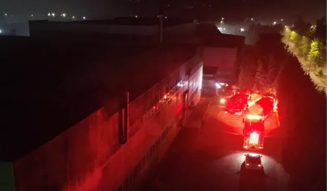 Düzce'de mobilya fabrikasında yangın