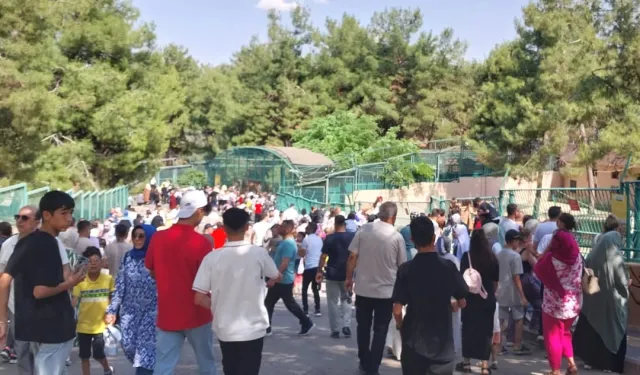Gaziantep Doğal Yaşam Parkı 90 bin ziyaretçi ağırladı