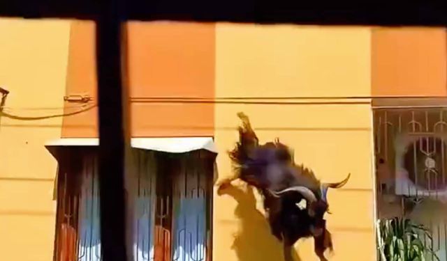 Daha önce böyle bir kaçış görmediniz