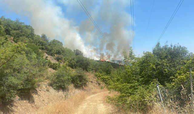 Çanakkale'deki orman yangını ekiplerce kontrol altına alındı