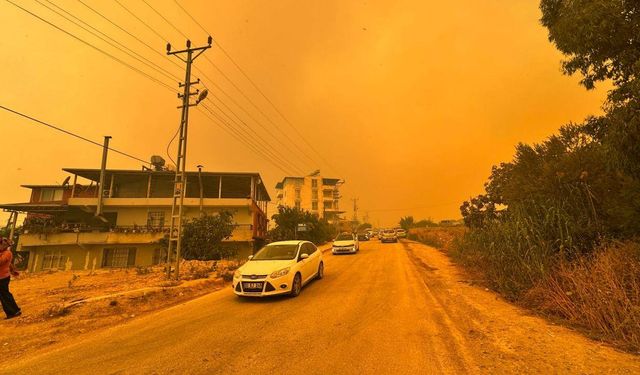 Hatay'da ormanlık alanda yangın çıktı