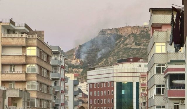 Mardin'de tarihi kale eteklerinde çıkan örtü yangını kontrol altına alındı