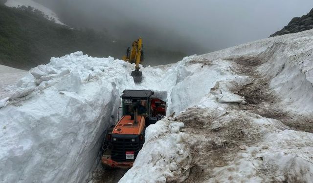Van ve Bitlis’te kar engeli: 70 yol ulaşıma kapalı
