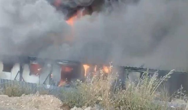 Adana'da ormanlık alanda çıkan yangın söndürüldü