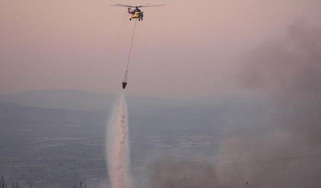 Manisa’daki orman yangını kontrol altına alındı