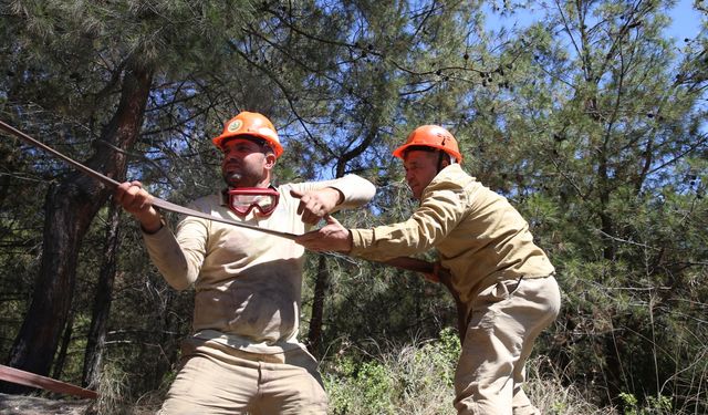 "Alev savaşçıları"nın Hatay'daki zorlu mesaisi aralıksız sürüyor