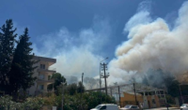 Antalya'nın Aksu ilçesinde çıkan yangına müdahale ediliyor