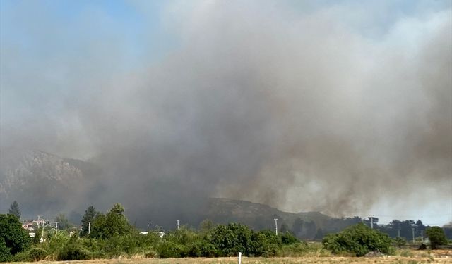 Antalya'nın Serik ilçesinde çıkan yangına müdahale ediliyor