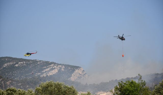 Bilecik'te ormanlık alana sıçrayan yangın tamamen kontrol altına alındı