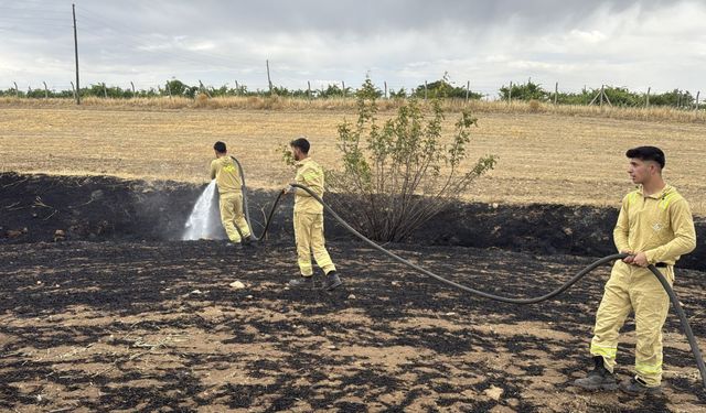 Diyarbakır'ın 3 ilçesinde ormanlık ve tarım alanlarında çıkan yangınlar söndürüldü