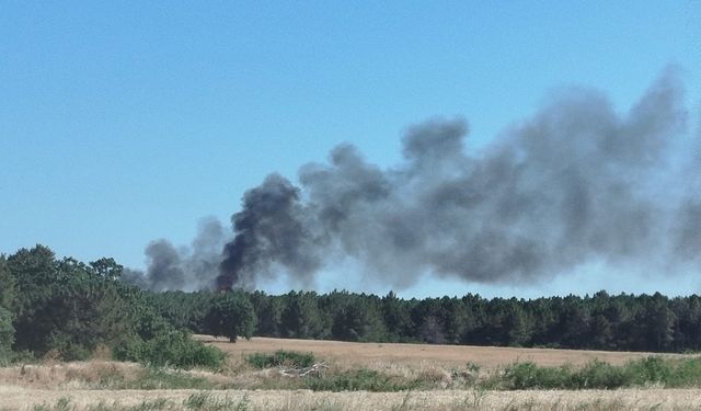 Edirne'de ormanlık alanda çıkan yangın söndürüldü