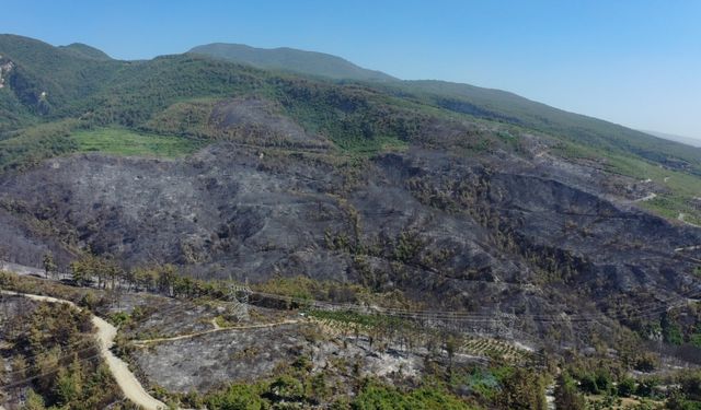 Hatay Dörtyol'daki orman yangını kontrol altına alındı