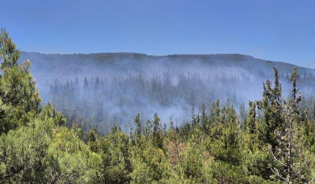 Çanakkale'de ormanlık alana sıçrayan yangın kontrol altına alındı