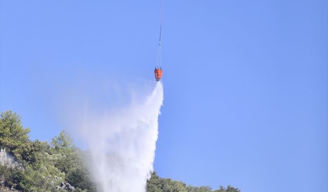 Muğla'da çıkan orman yangını kontrol altına alındı