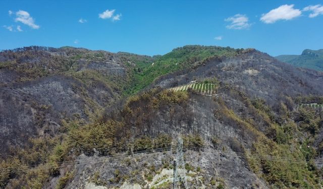 Hatay Dörtyol'daki orman yangınında zarar gören alanlar dronla görüntülendi