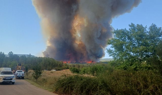 Karabük'te ormanlık alanda çıkan yangına ekiplerce müdahale ediliyor