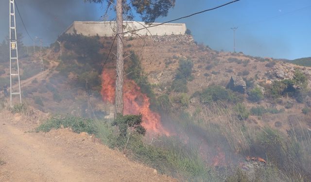 Mersin'de otluk alanda çıkan yangın ormana sıçramadan söndürüldü