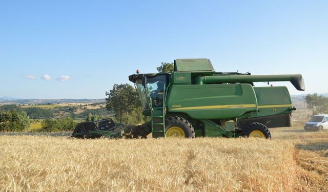 Samsun'un Havza ilçesinde 90 bin ton buğday rekoltesi bekleniyor