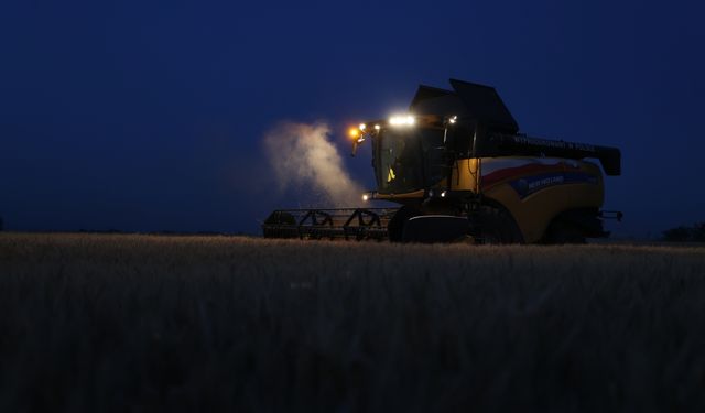 Trakya'da aşırı sıcak nedeniyle buğday hasadı gece yapılıyor