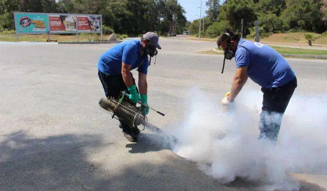 Antalya’nın tüm ilçelerinde haşereyle mücadele sürüyor