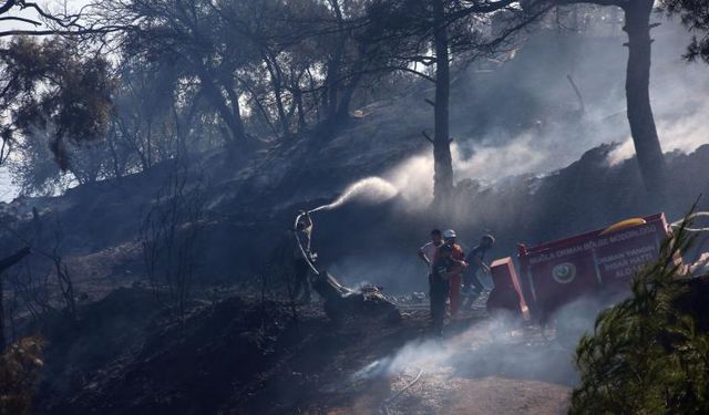 Çanakkale'de tarım arazisinde çıkan yangın kontrol altına alındı