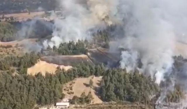 Balıkesir'deki orman yangınıyla ilgili 2 tutuklama