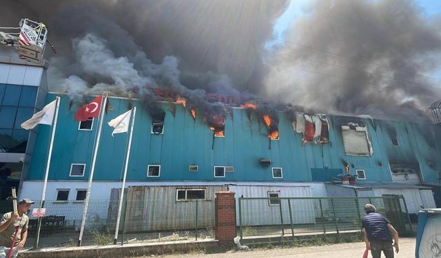Bolu'da fabrika yangını